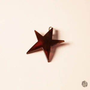 Hebilla en carey ecológico en Colombia con diseño de estrella, accesorio de lujo disponible en Bogotá, Cali, Ibagué, Medellín, Manizales, Popayán, Villavicencio, Pitalito, Barranquilla, Cartagena y Bucaramanga.